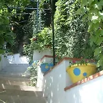 Il Giardino Dei Limoni *