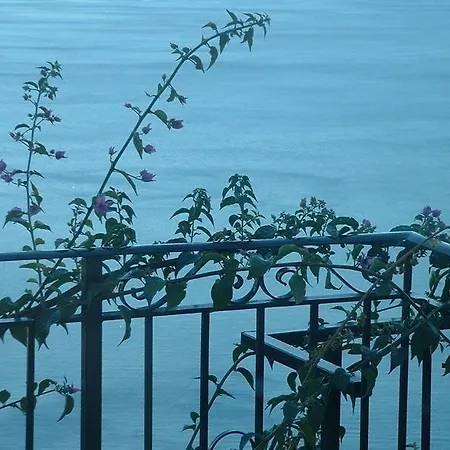 公寓 柠檬花园公寓 *