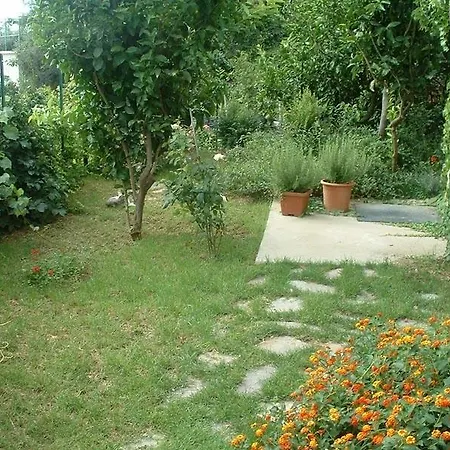 柠檬花园公寓