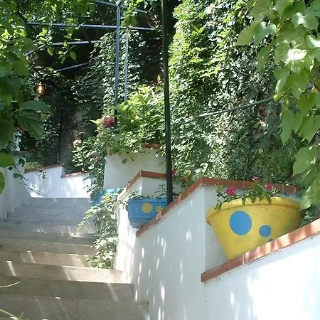 Il Giardino Dei Limoni *